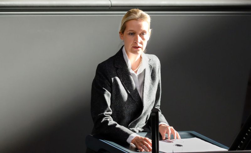 Klage gegen Alice Weidel wegen Auslandsspende eingeleitet