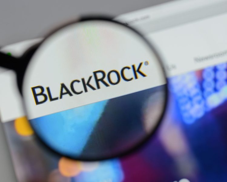 "Einen Konzern wie BlackRock hat es noch nie gegeben"