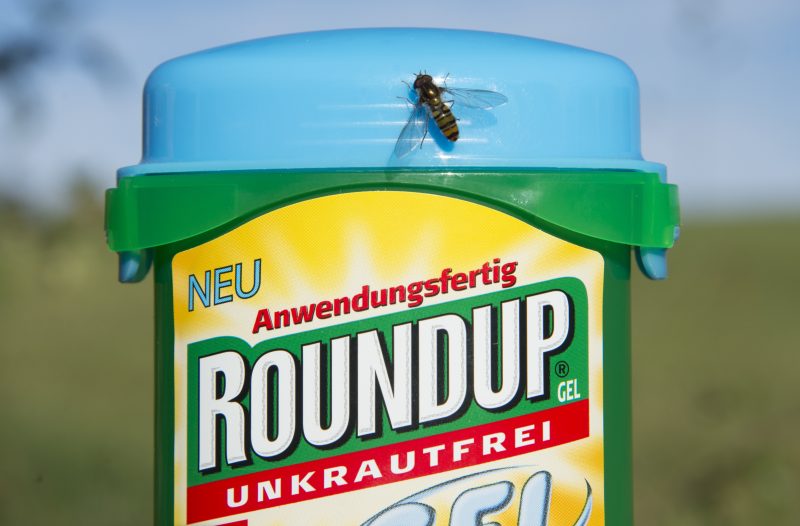 Neuer Glyphosat-Schock für Bayer - Zwei Mrd Dollar Schadenersatz