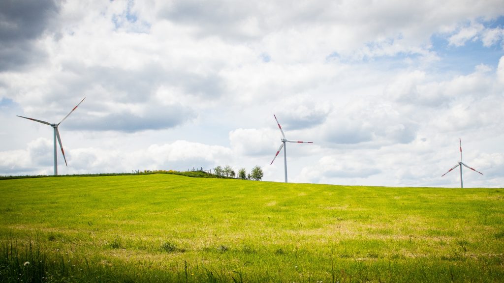 Wind_field