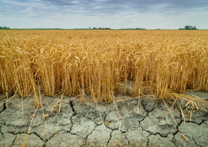 Forscher warnen: Grundwasser schwindet durch Klimawandel
