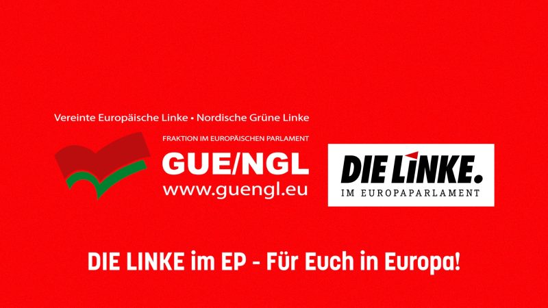 DIE LINKE im EP - Für Euch in Europa!