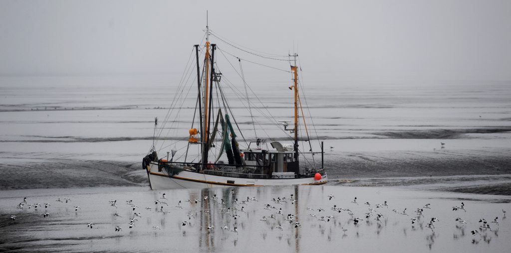 Shrimp boat in gray November weather