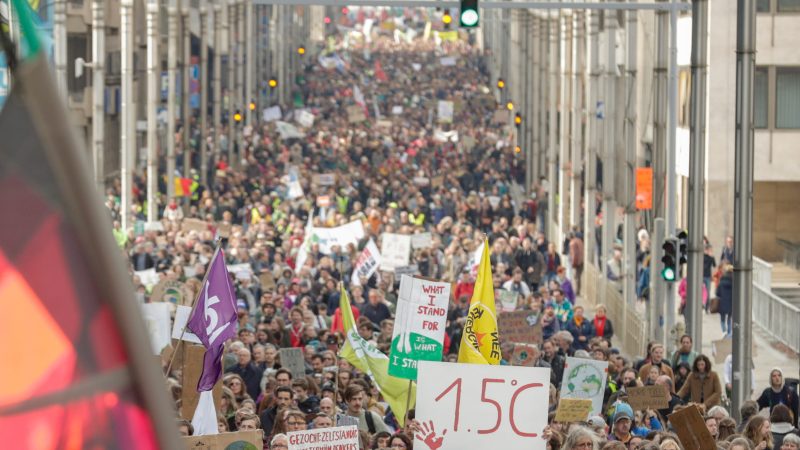 Studie: Klimawandel ist das Top-Thema bei den EU-Wahlen
