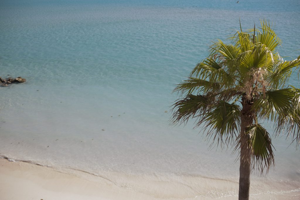 Leak of financial documents dubbed the Paradise Papers