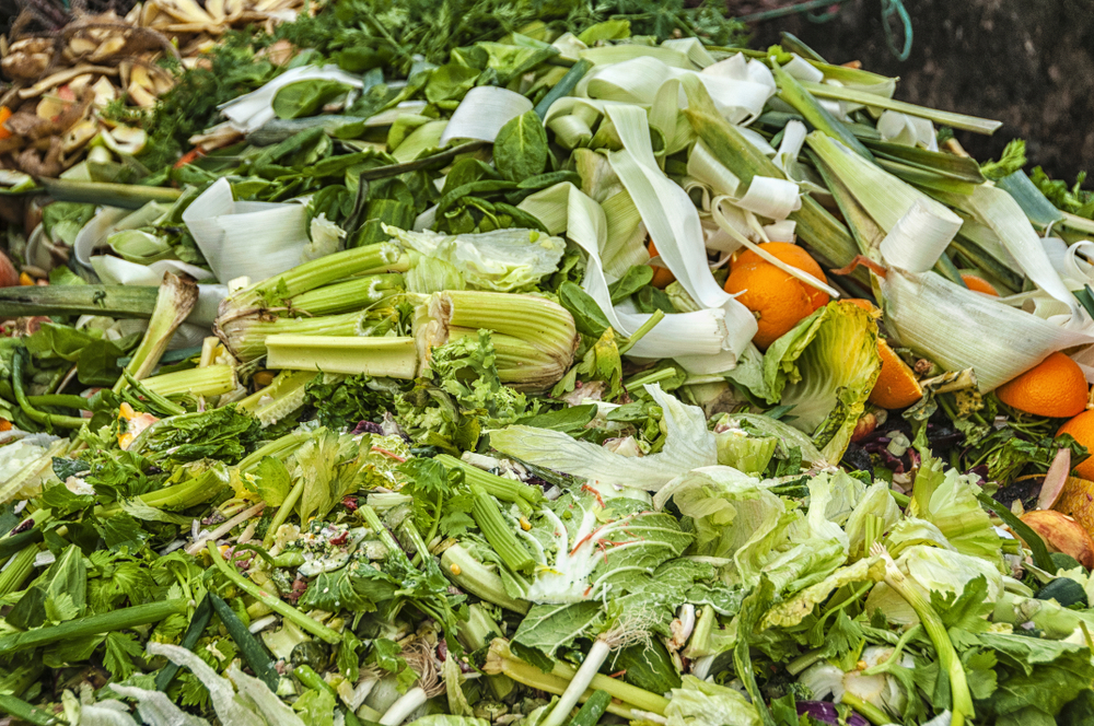 organicwaste