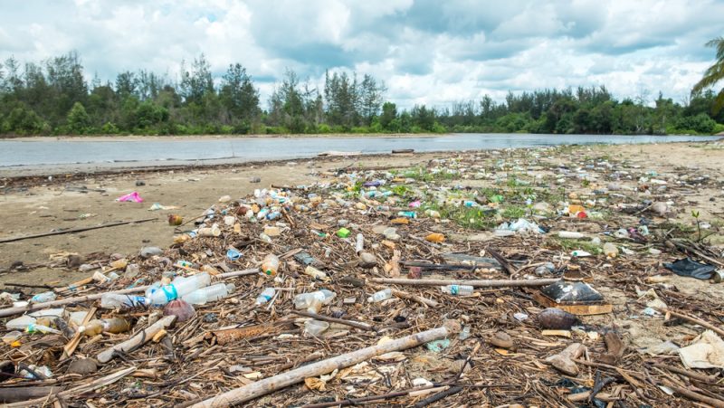 Habeck: "Wir müssen dringend weniger Plastik verwenden"