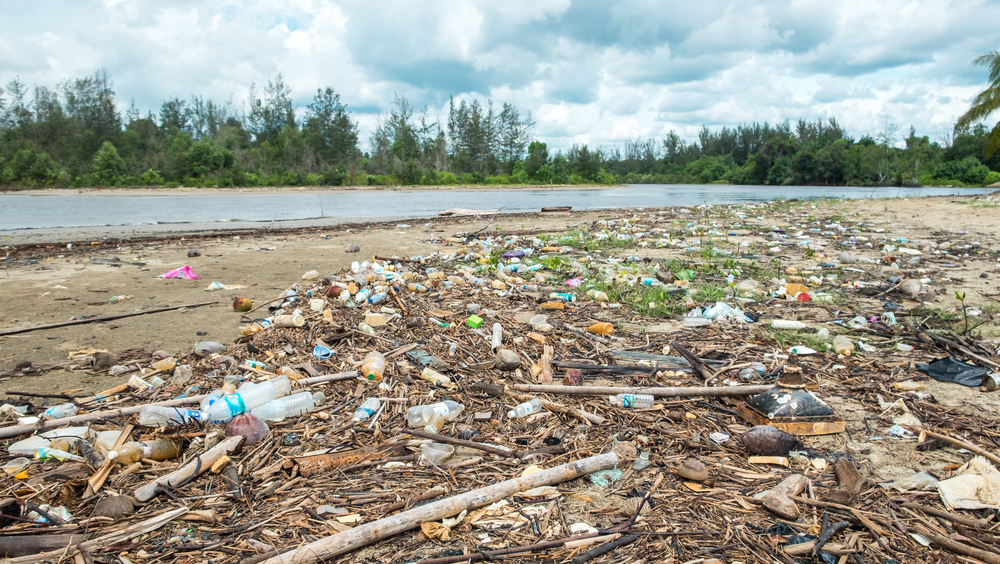 Nur 16 Prozent des deutschen Plastikmülls wird wiederverwendet. Der Rest wird verbrannt oder ins Auslands verfrachtet. Grünen-Chef Habeck fordert ein besseres Recycling-System.