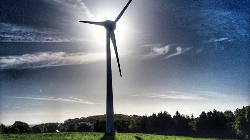 Drei EU-Länder erhöhen das Ziel für erneuerbare Energien bis 2030