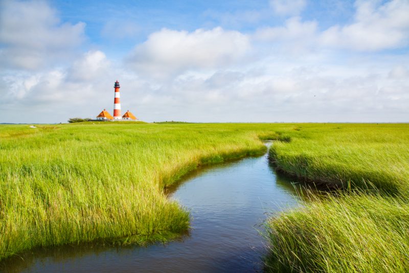 Klimawandel gefährdet Lebensraum Nordsee