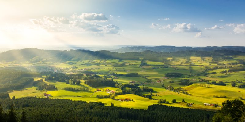 Stadt, Land - Wirtschaft?