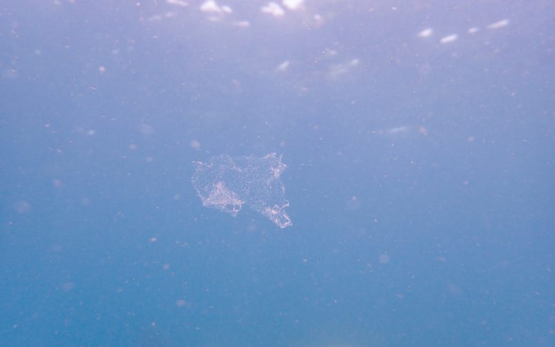 WHO: Mikroplastik im Wasser (noch) kein Gesundheitsrisiko