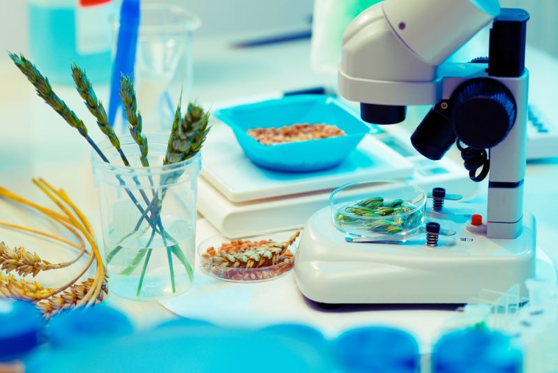 Biotechnologie: Europas nächstes „heißes Eisen“