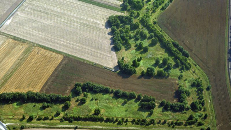 Grünes Band: Vom Todesstreifen des Kalten Krieges bis zum unberührten ökologischen Lebensraum