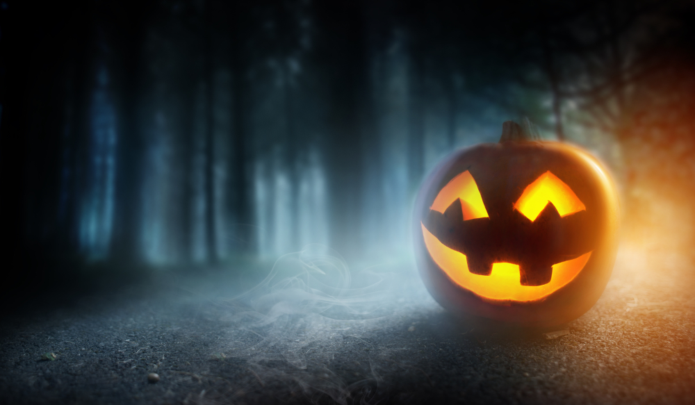 shutterstock_1177180726