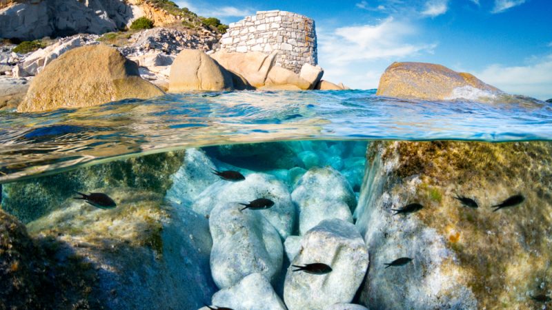Bekämpfung des Klimawandels auf dem "mediterranen Weg"