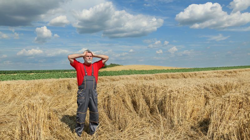 Französisches Regierungsinstitut begrüßt Idee einer GAP zur Unterstützung der Arbeitsplätze der Landwirte
