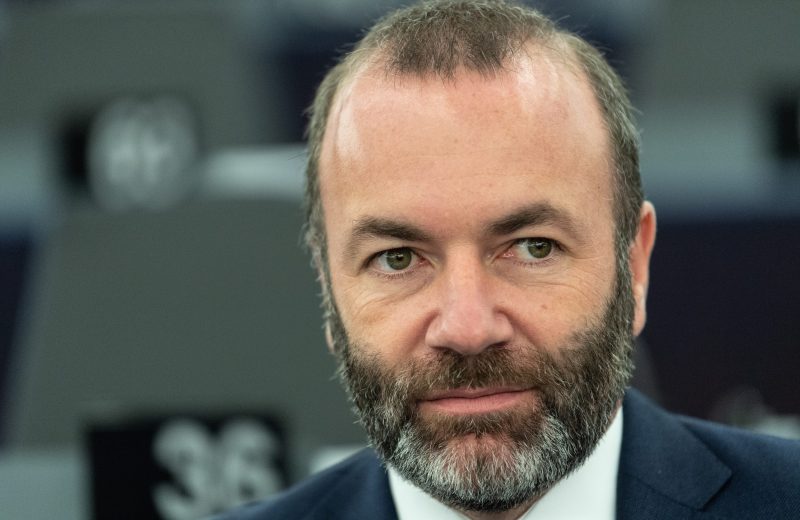 Manfred Weber sucht seine Rolle