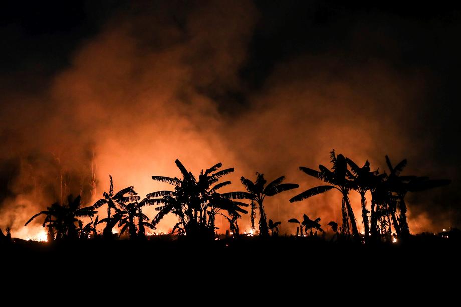 Xikrin ethnic group fighting deforestation in the Amazon