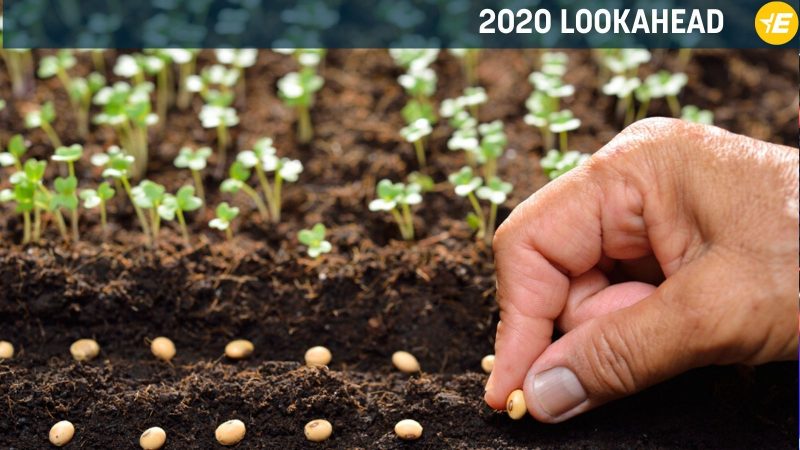 EU-Agrarpolitik im Jahr 2020: Die Weichen für die Zukunft stellen