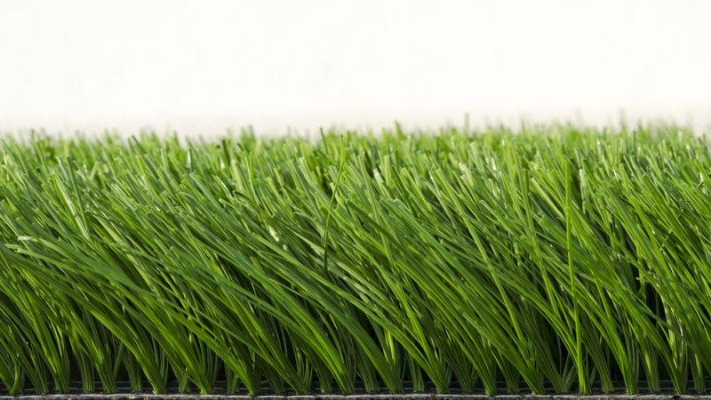 Schlechtes Gras?