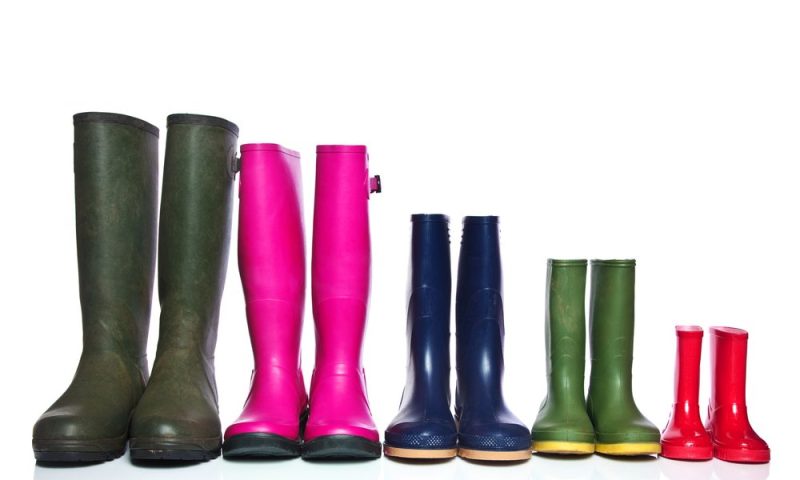 Deutschlands neuer Plan: Ist Bioökonomie die Zukunft?