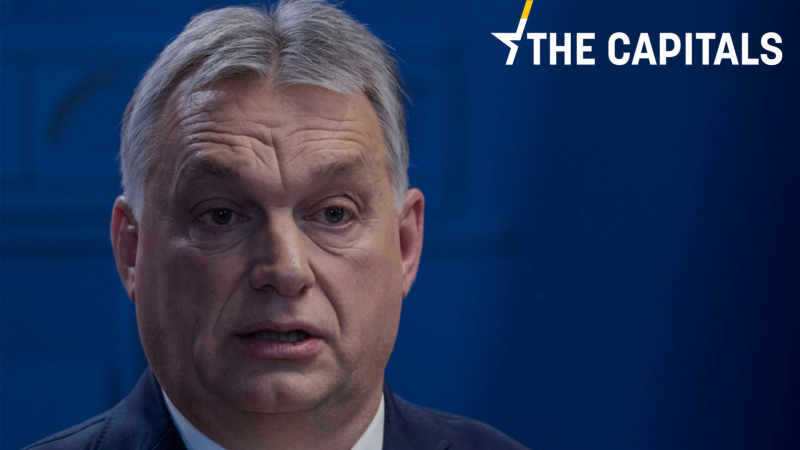 The Capitals: Missachtung, Korruption, Bananenkönig