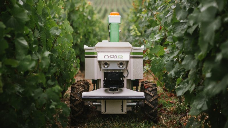 Frankreich: Roboter als Pestizidersatz?