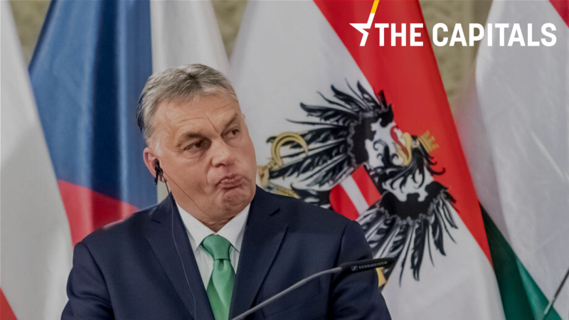 The Capitals: Ziemlich beste Freunde?