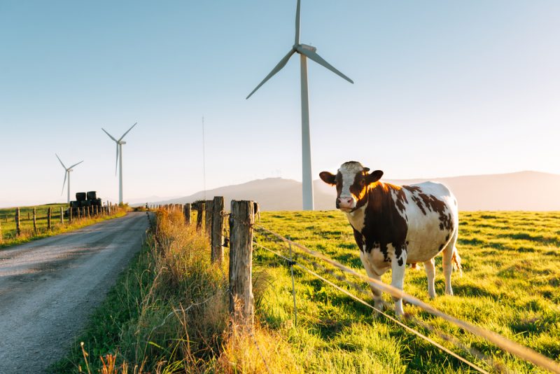 "Farm-to-Fork"-Entwurf: Mit Blick auf Emissionen aus der Tierhaltung und das Tierwohl