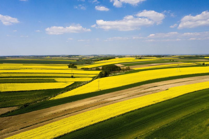 Kein Geld für die Landwirtschaft: Slowakischer Minister droht mit Rücktritt
