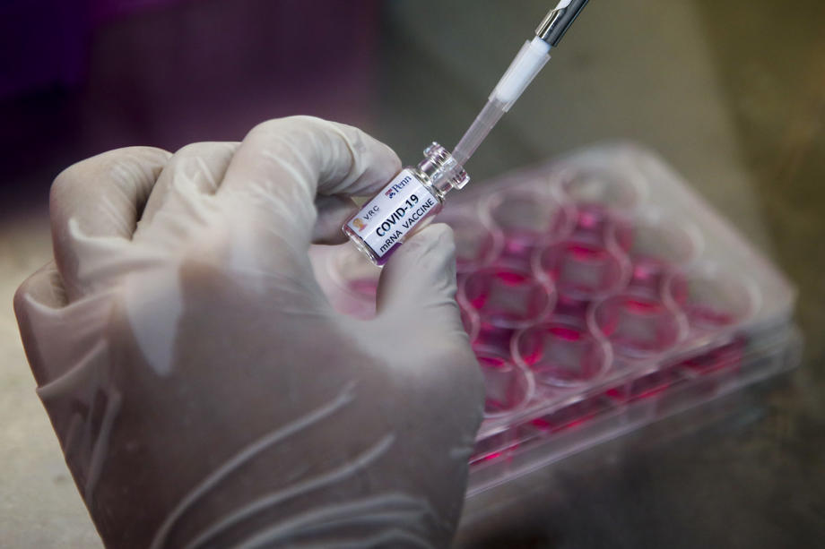 COVID-19 vaccine tests on monkeys in Thailand