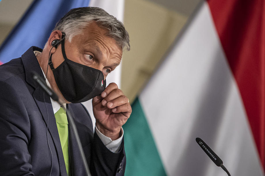 Visegrad Group summit in Lednice