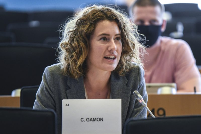 Parlament fordert EU-Konzept für Energiespeicher