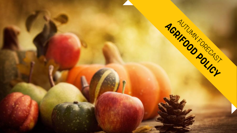 Landwirtschaft und Lebensmittel im Herbst: GAP-Reform und F2F