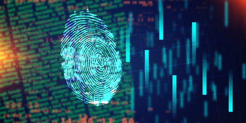 Kommissionsdokument zeigt Pläne für ein "EU-System für digitale Identitäten"