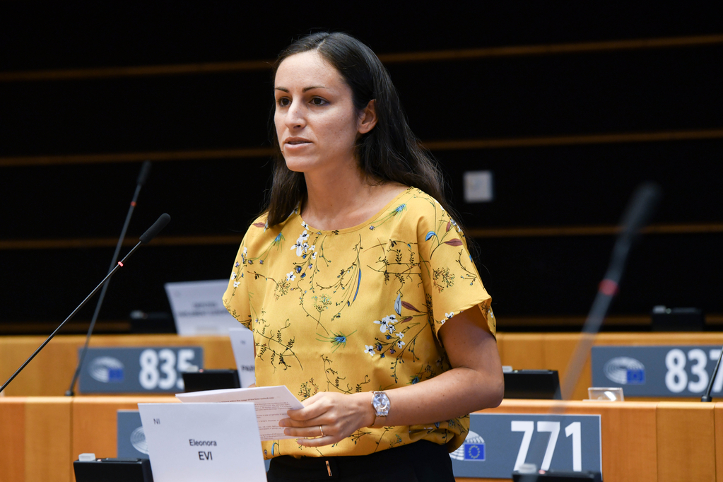 EP-104869D_plenary
