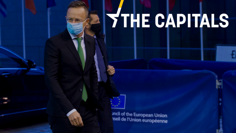 The Capitals: Einmischung, Aufschub, Protest