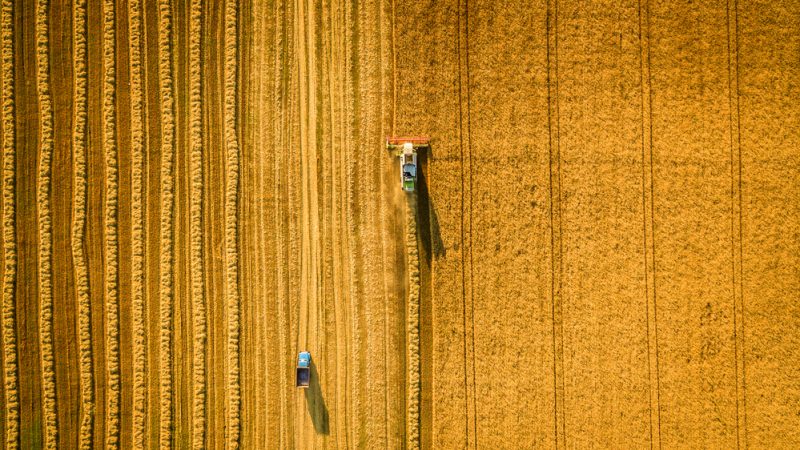 EU-Agrarminister erzielen nach langem Ringen Kompromiss zur Agrarreform