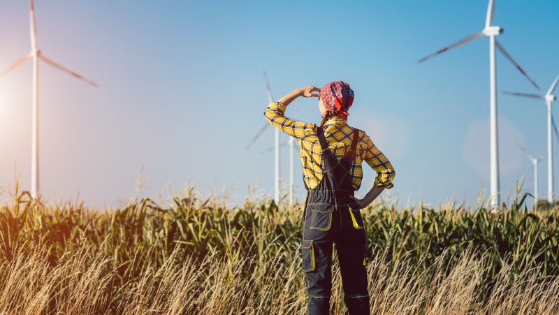 30 Jahre deutsche Einheit: Wie steht es um die ostdeutsche Landwirtschaft?