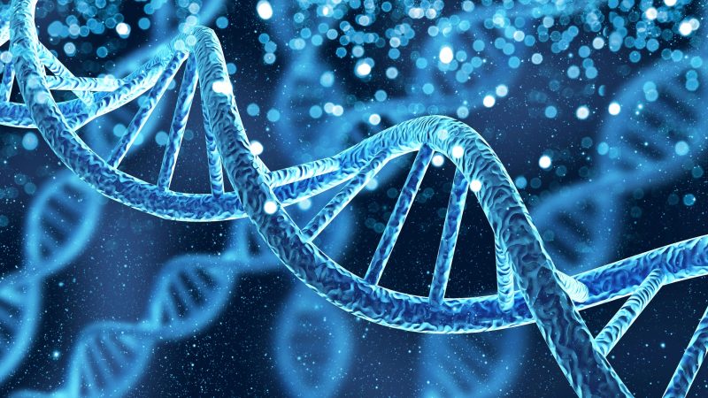 Gentechnik: Gefahr für die Biodiversität oder das Mittel der Zukunft?