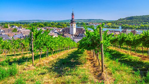 shutterstock_1771788278 (1)