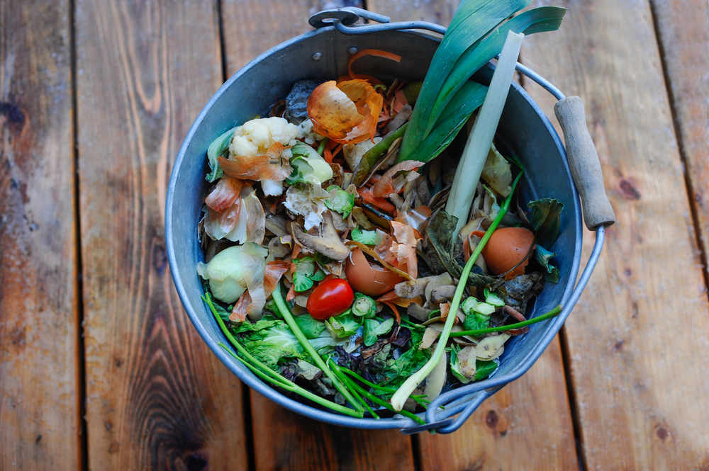 shutterstock_565846573 (1)