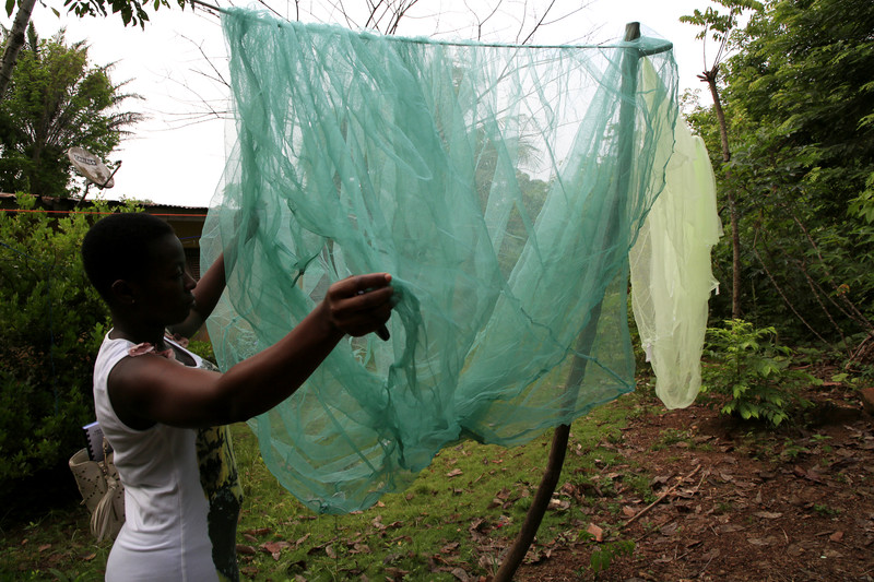 Afrika: Corona-Pandemie behindert Kampf gegen Malaria