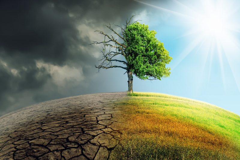 Vom Klimasünder zum Klimaschützer: Die geplanten Beiträge der Länder