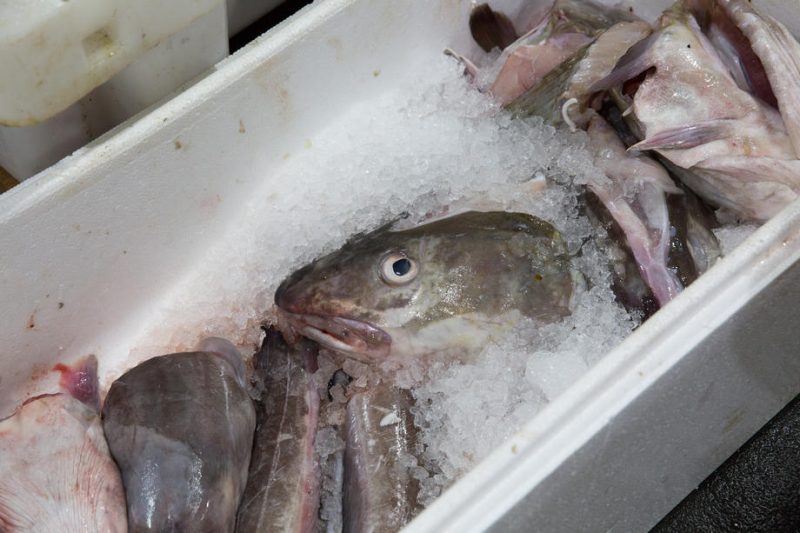 Agrarminister-Tagung: Lebensmittelkennzeichnung und Fischerei