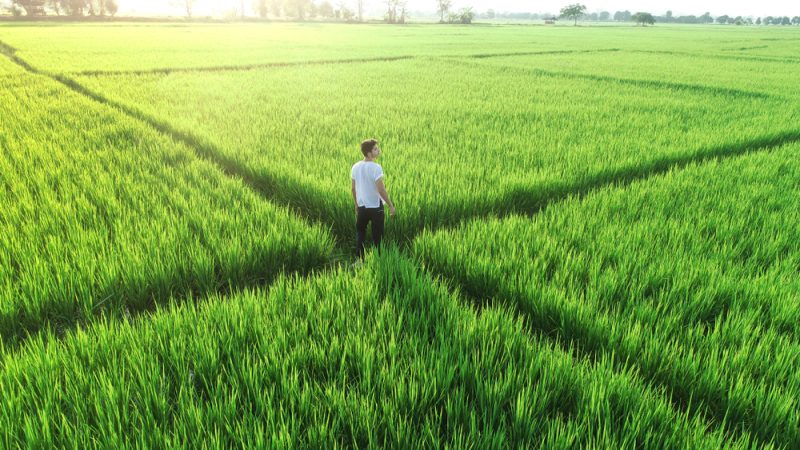 Der Green Deal und die Landwirtschaft: Von Worten und Taten