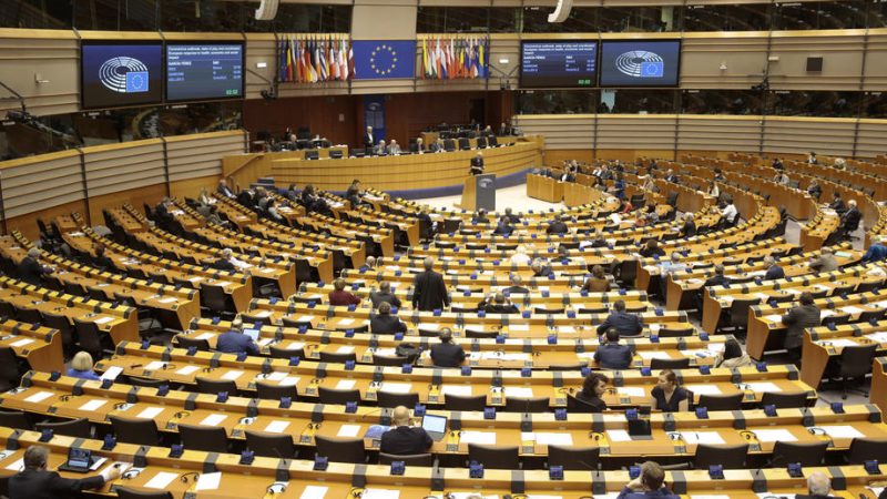 Europäisches Parlament: EU und Afrika müssen “auf Augenhöhe kooperieren”