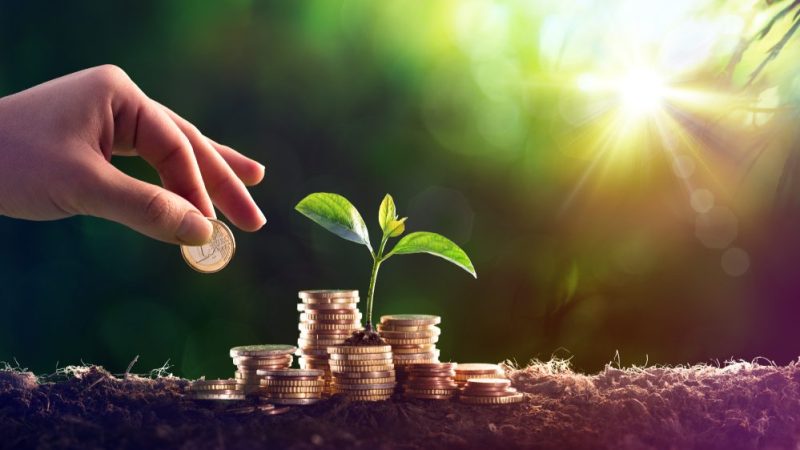 COVID-Strukturpolitik: Die Risiken der Flexibilität