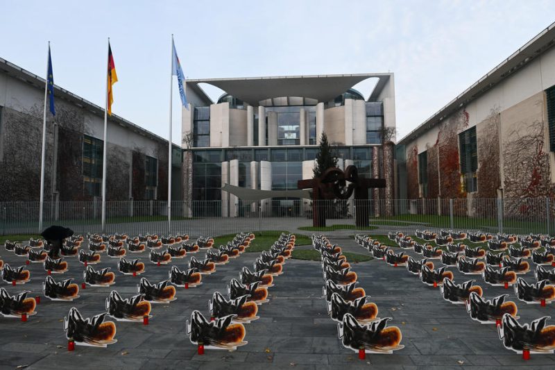 Insektenschutz: Kompromiss in Sicht nach langem Streit